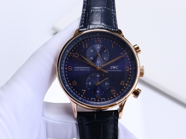 アイ・ダブリュー・シー背面デザイン